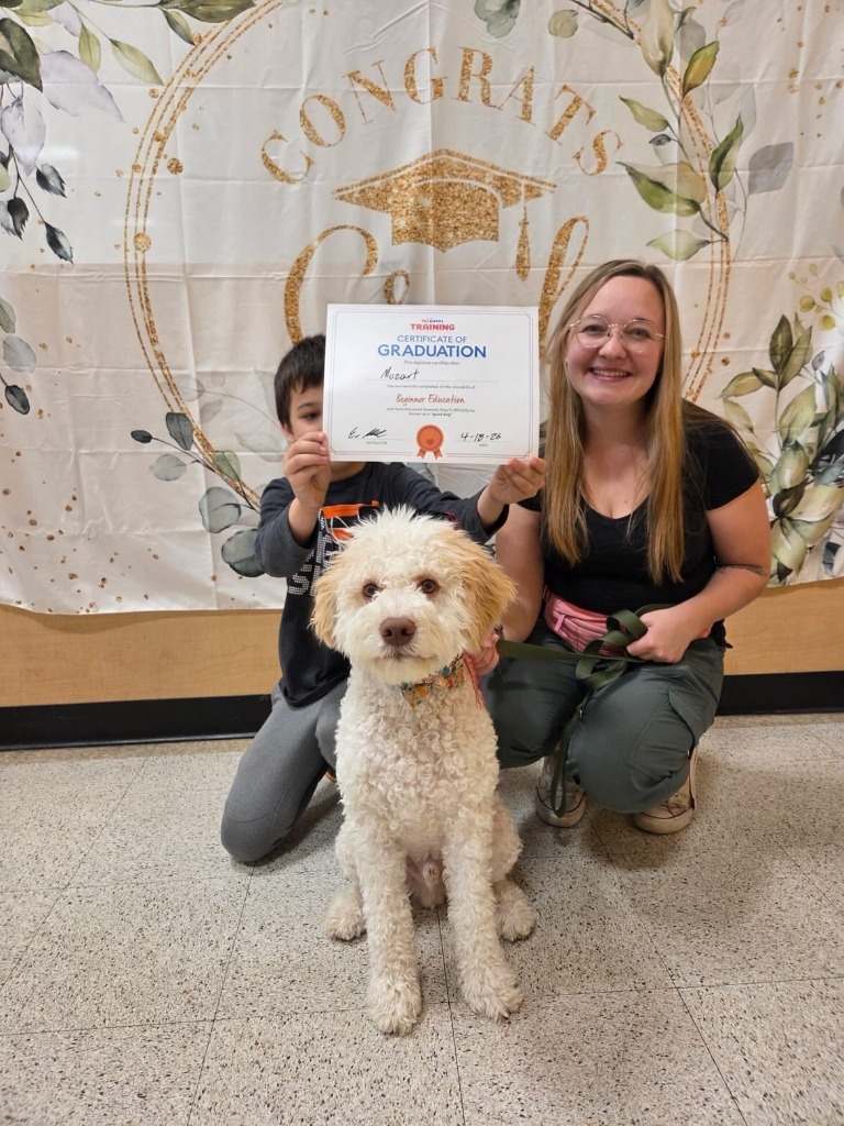 Lagotto Romagnolo puppy Mozart with Van Deusen family